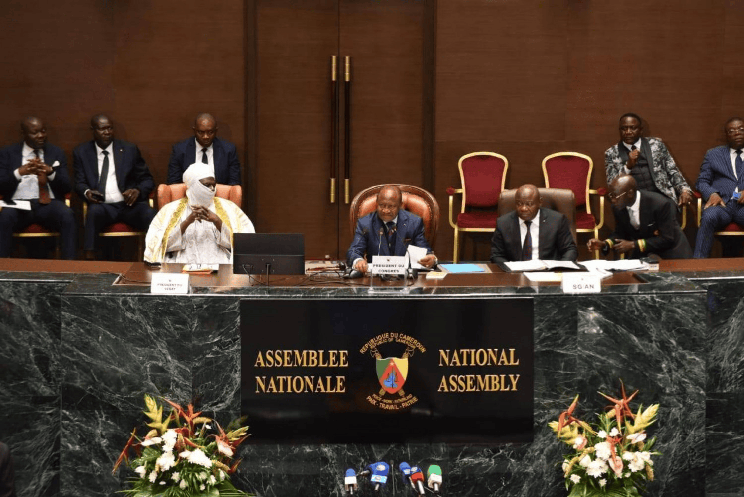 CONSTITUTIONAL REVISION IN CAMEROON